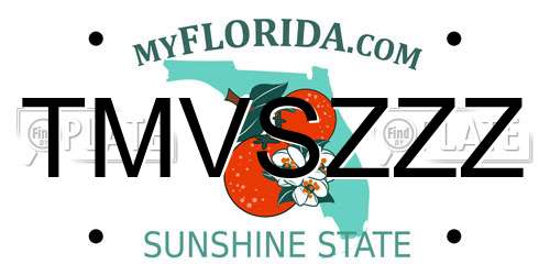 TMVSZZZ Florida License Plate