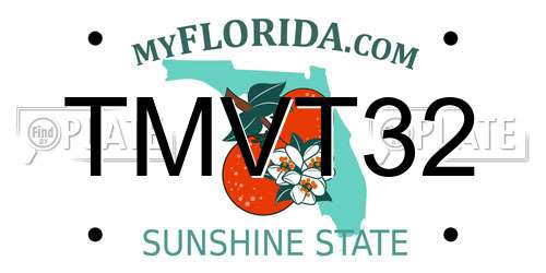 TMVT32 Florida License Plate
