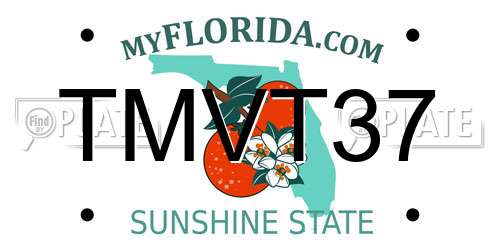 TMVT37 Florida License Plate