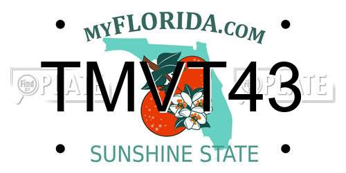 TMVT43 Florida License Plate