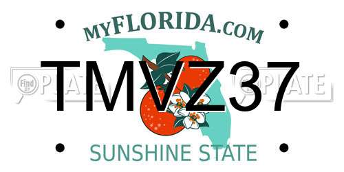 TMVZ37 Florida License Plate