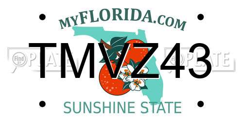 TMVZ43 Florida License Plate