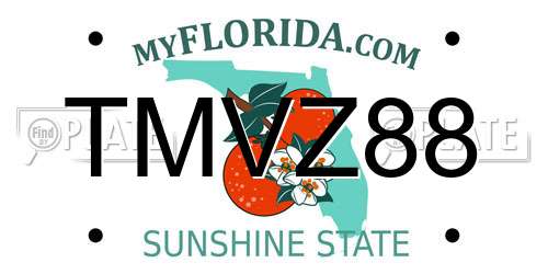 TMVZ88 Florida License Plate