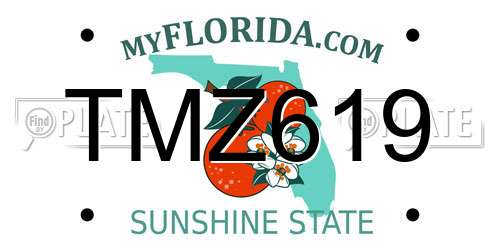 TMZ619 Florida License Plate