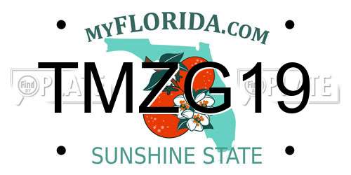 TMZG19 Florida License Plate