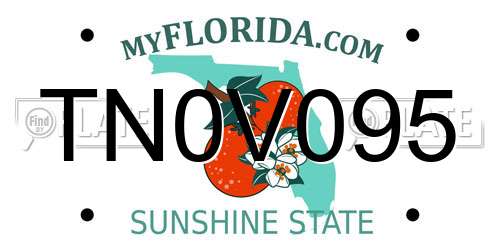 TN0V095 Florida License Plate