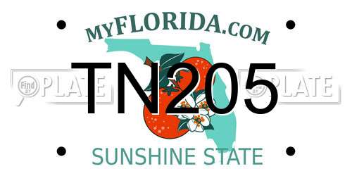 TN205 Florida License Plate
