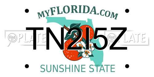 TN2I5Z Florida License Plate