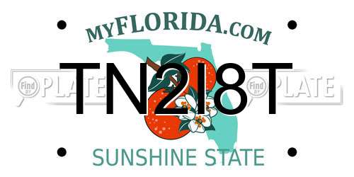 TN2I8T Florida License Plate