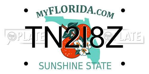 TN2I8Z Florida License Plate
