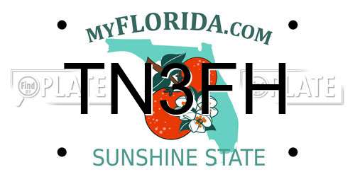 TN3FH Florida License Plate