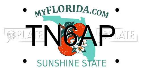 TN6AP Florida License Plate