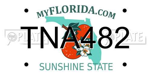 TNA482 Florida License Plate