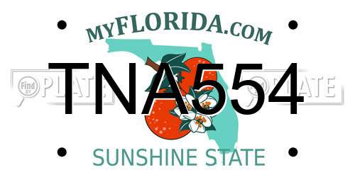 TNA554 Florida License Plate
