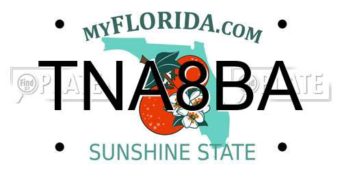 TNA8BA Florida License Plate