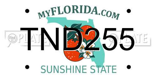TND255 Florida License Plate