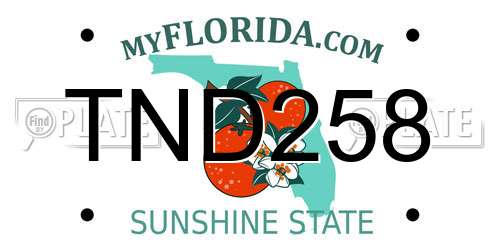 TND258 Florida License Plate