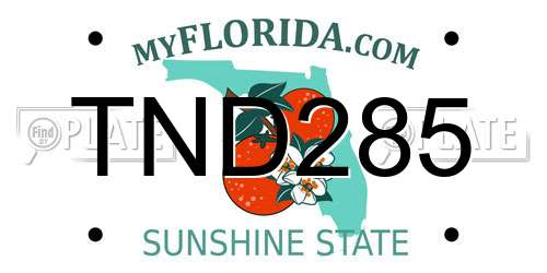 TND285 Florida License Plate