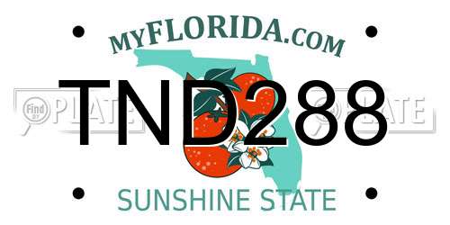 TND288 Florida License Plate