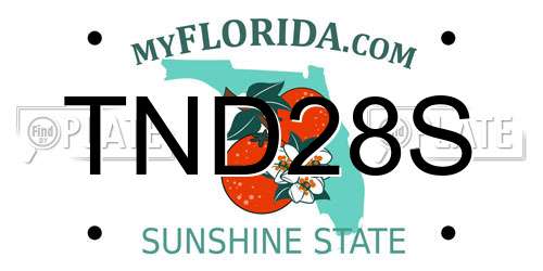 TND28S Florida License Plate