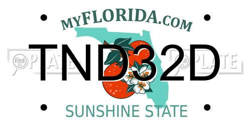 TND32D Florida License Plate