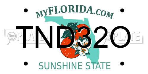 TND32O Florida License Plate