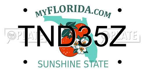 TND35Z Florida License Plate