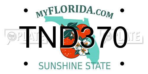 TND370 Florida License Plate
