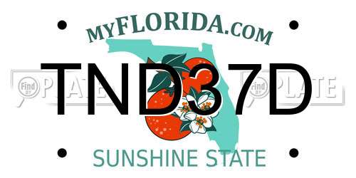 TND37D Florida License Plate