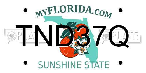 TND37Q Florida License Plate