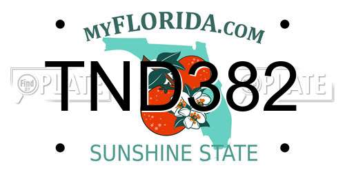 TND382 Florida License Plate