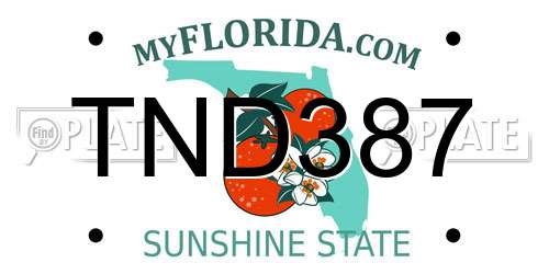 TND387 Florida License Plate