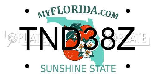 TND38Z Florida License Plate
