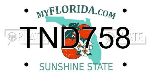 TND758 Florida License Plate