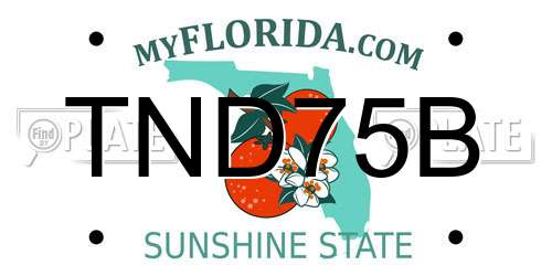 TND75B Florida License Plate