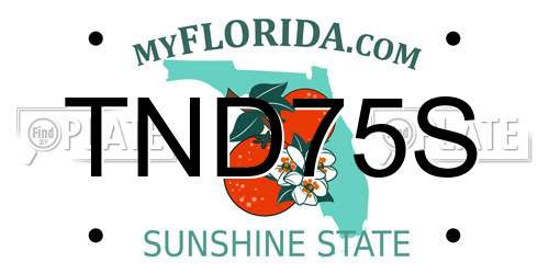 TND75S Florida License Plate