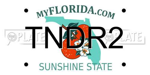 TNDR2 Florida License Plate