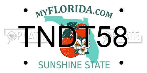 TNDT58 Florida License Plate