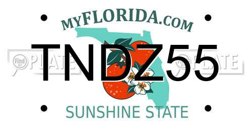 TNDZ55 Florida License Plate