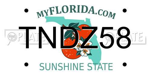TNDZ58 Florida License Plate