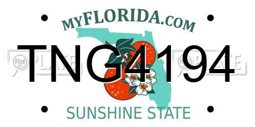 TNG4194 Florida License Plate