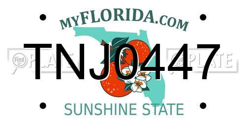 TNJ0447 Florida License Plate