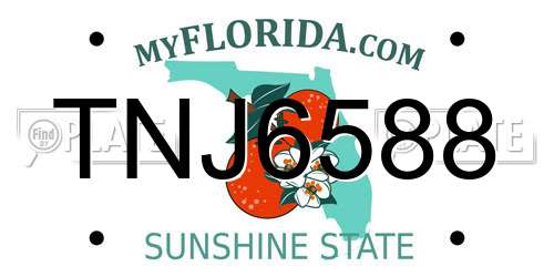 TNJ6588 Florida License Plate