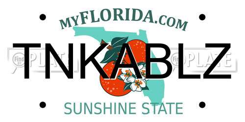 TNKABLZ Florida License Plate