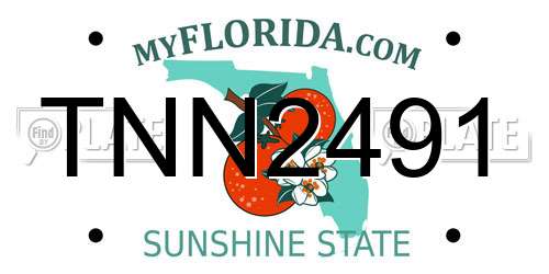 TNN2491 Florida License Plate