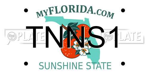 TNNS1 Florida License Plate