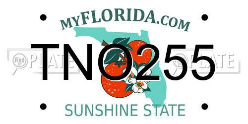 TNO255 Florida License Plate