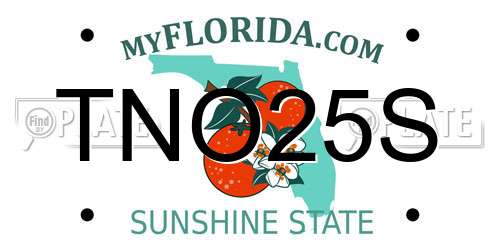 TNO25S Florida License Plate