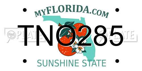 TNO285 Florida License Plate
