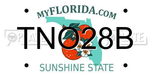 TNO28B Florida License Plate